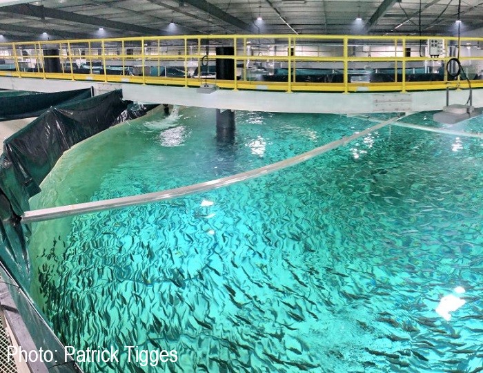 Huon Aquaculture Whale Point